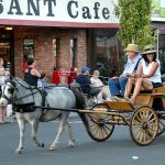 2016 Fair Parade 12