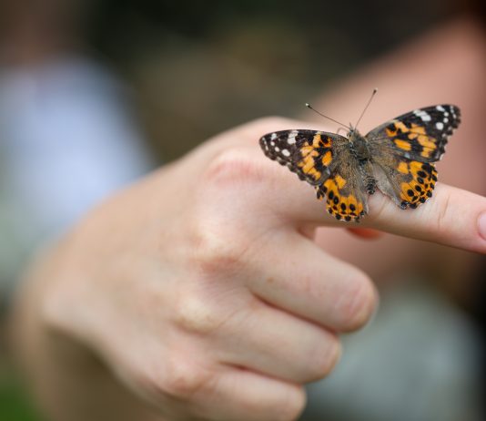 Community gathers for memorial service, butterfly release in Hermiston