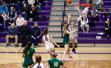Photo Gallery: Hermiston Girls Basketball State playoff game
