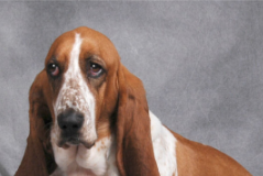 Dale Moyer Passes Away at 49