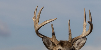 Jim Boor Passes Away at 78