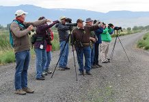 Oregon Fish & Wildlife Cancels 2020 Ladd Marsh Bird Festival