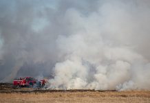 Crews Put Out Brush Fire