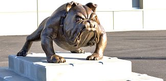 Bulldogs Beat Liberty