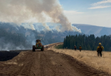 Evacuation levels updated, public meeting set for Paradise, Hagen, and Horse Ridge fires