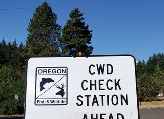 Oregon hunters asked to test deer and elk for CWD