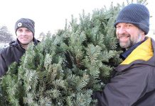 Prices Up, But Christmas Tree Sales Reported as ‘Steady’ in Hermiston