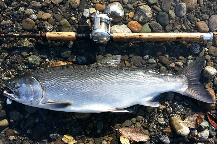 10 tips for targeting ocean coho  Oregon Department of Fish & Wildlife