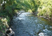 CTUIR Gets Nearly $2 Million for Columbia River Basin Project