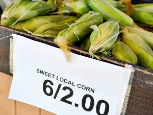 Among the produce sold at the stand is locally-grown corn.
