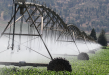 Gov. Kotek declares drought emergency in Deschutes, Umatilla and Baker Counties