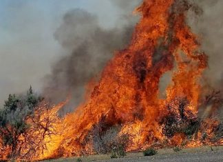 Drought conditions could mean severe wildfire season in Oregon