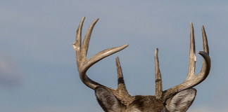 Edward Baker Passes Away at 95