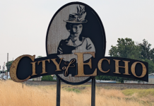 A Day in Echo