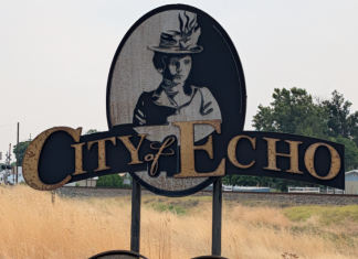 A Day in Echo
