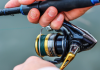 Hit the water for another free fishing weekend in Oregon