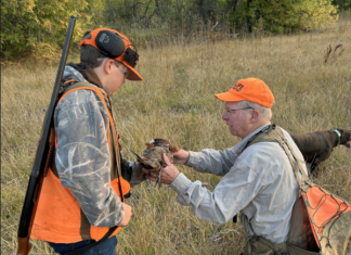 Free pheasant hunts planned for youth hunters across Oregon