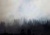 Protect your indoor air this wildfire season