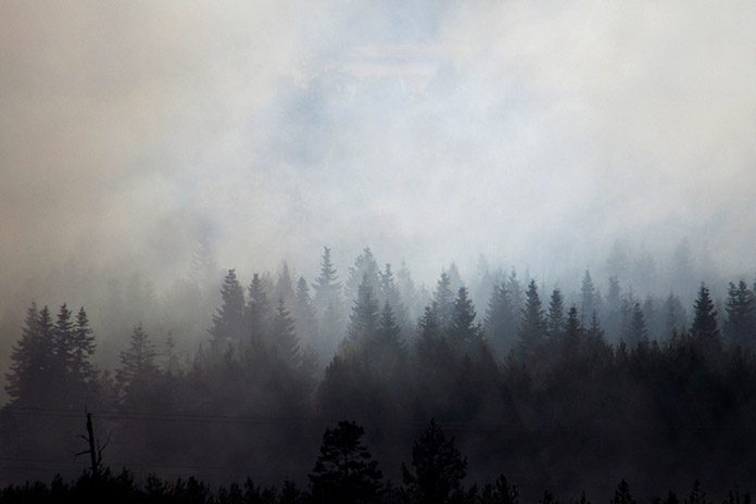 Forest Fire Smoke