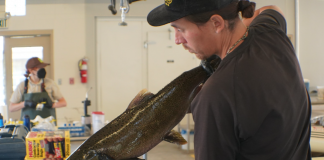 CTUIR awarded close to $7 million for fish hatchery, collection activities