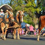 2013 Umatilla County Fair Parade