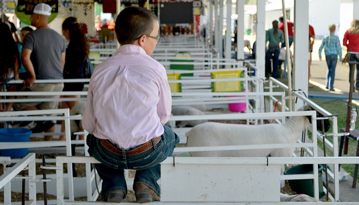 2014 Umatilla County Fair