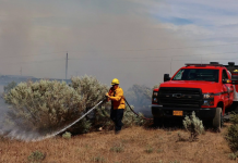 Levy to fund 16 UCFD#1 positions to appear on November ballot