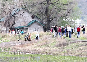 Ladd Marsh Bird Festival