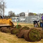 Little League Sod