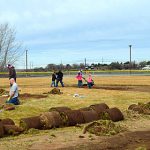 Little League Field