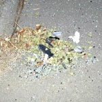 Marijuana crash 2