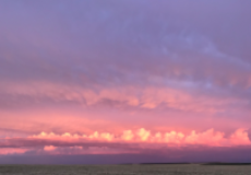 Jasen Petersen Passes Away at 57