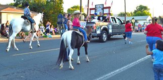 Parade gallery