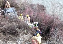 Prindle Loop Road Accident