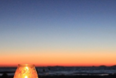 Sharee Rector Passes Away at 77