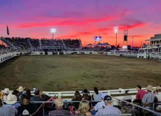 Farm City Pro Rodeo to feature biggest purse, largest field of competitors