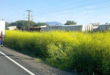 Train Derailment