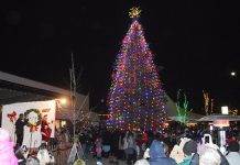 Hermiston Christmas Tree Lighting Set for Festival Street on Thursday