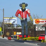 Umatilla Cowboy