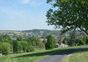 Urban Forest Open House set for Pendleton