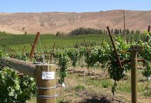 Rattlesnake Hills AVA