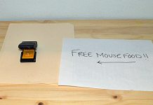 mouse trap