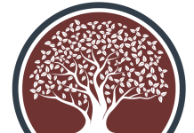 Wilcox Family Endowment Fund Grants available for youth programs
